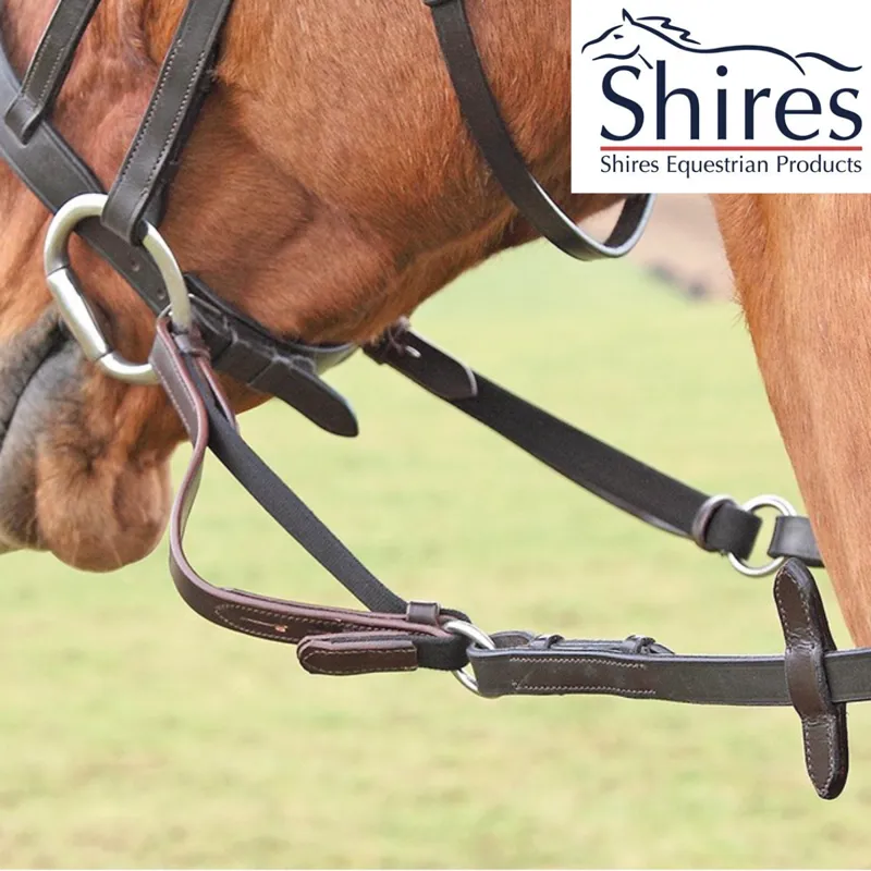 Shires Flexi-Rein - Havanna